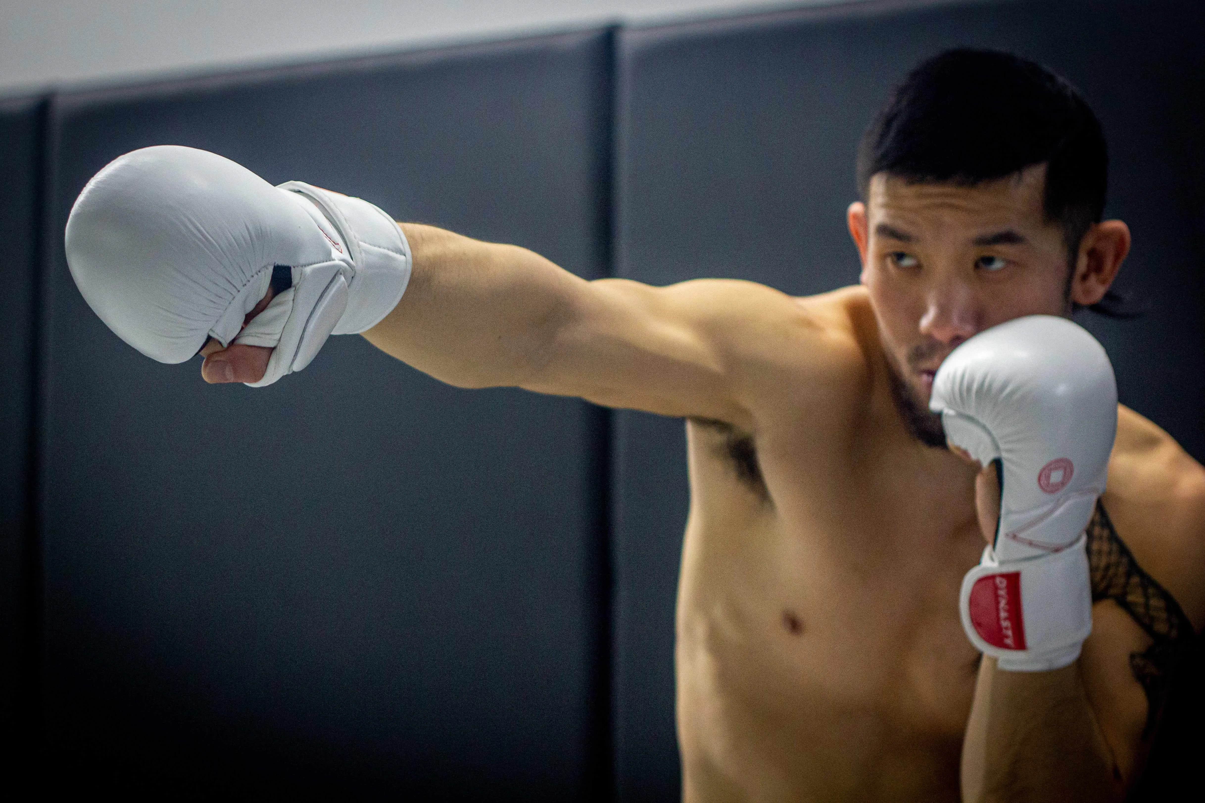 Dynasty Diamond Pro MMA Sparring Gloves (White / Red)