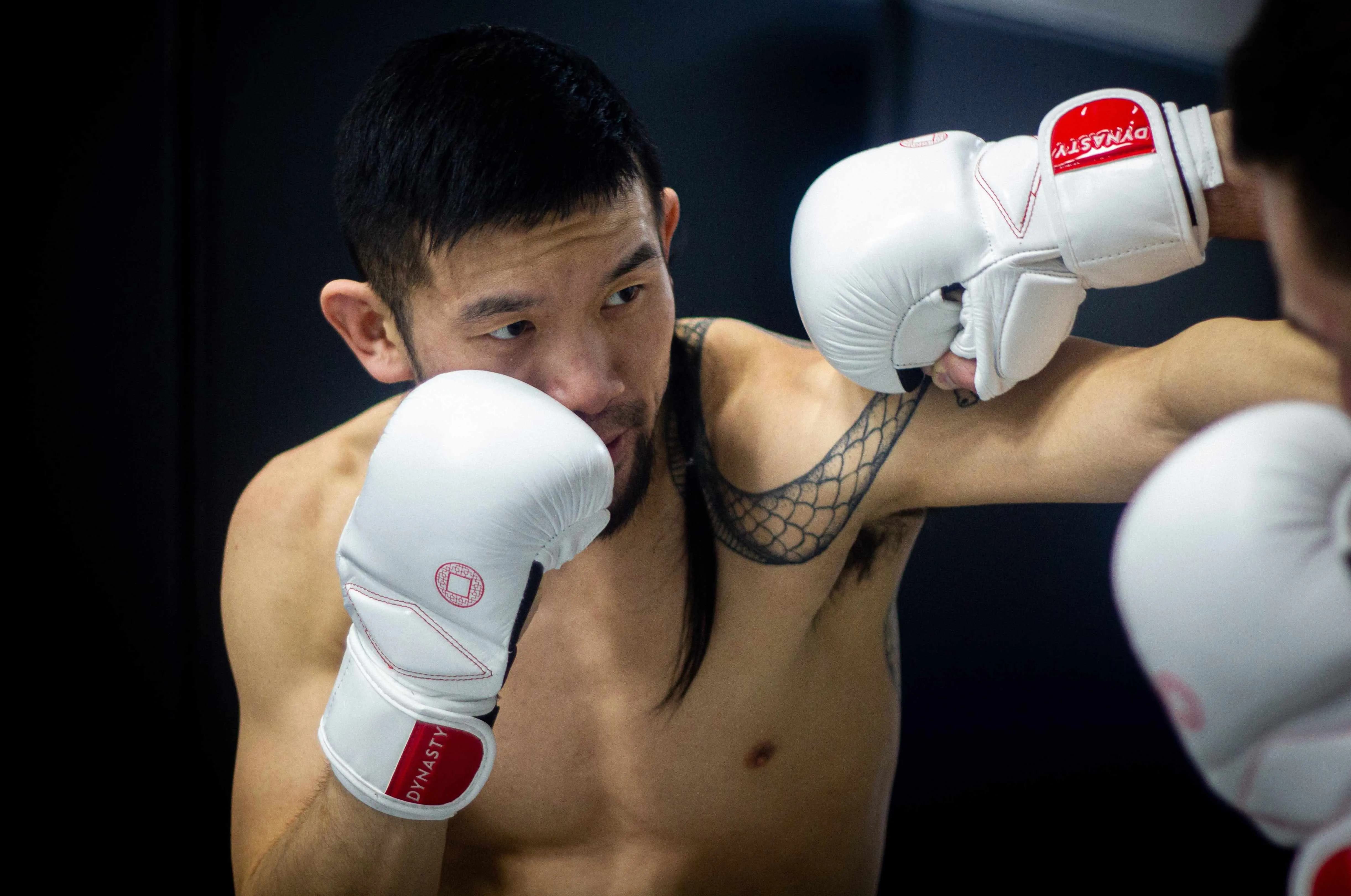 Dynasty Diamond Pro MMA Sparring Gloves (White / Red)