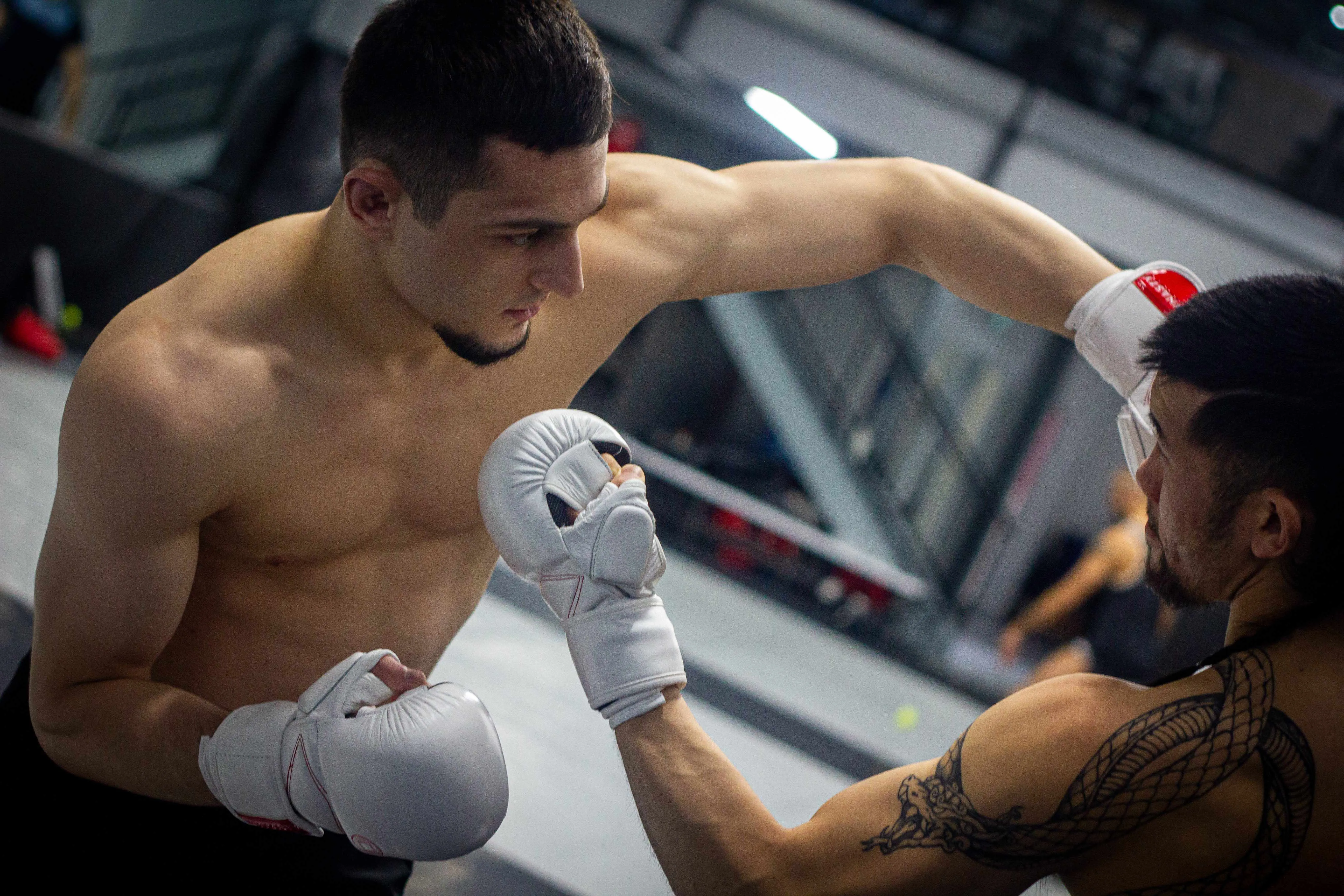 Dynasty Diamond Pro MMA Sparring Gloves (White / Red)