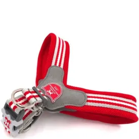 Red Stripe Dog Harness
