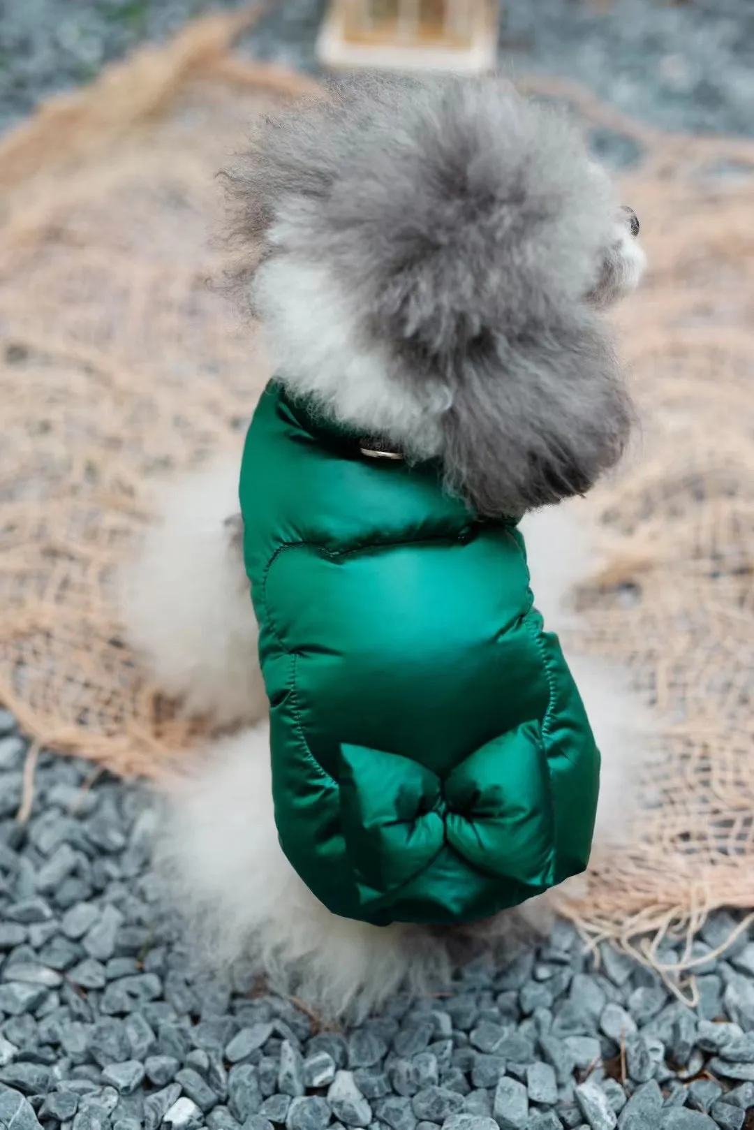 TaniWina Winter Fashionista: Stylish Down Jacket Vest with Harness